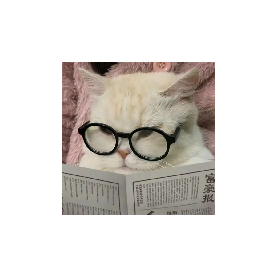 林琛