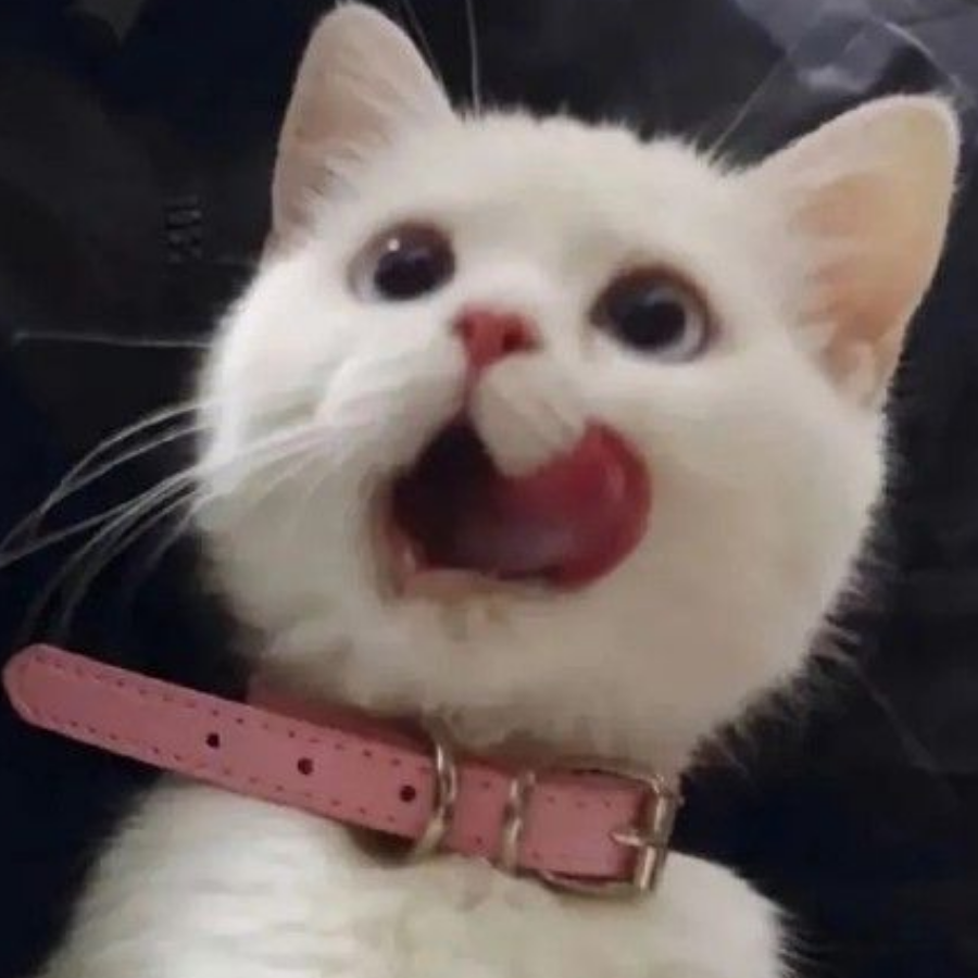 是靓靓鸭~
