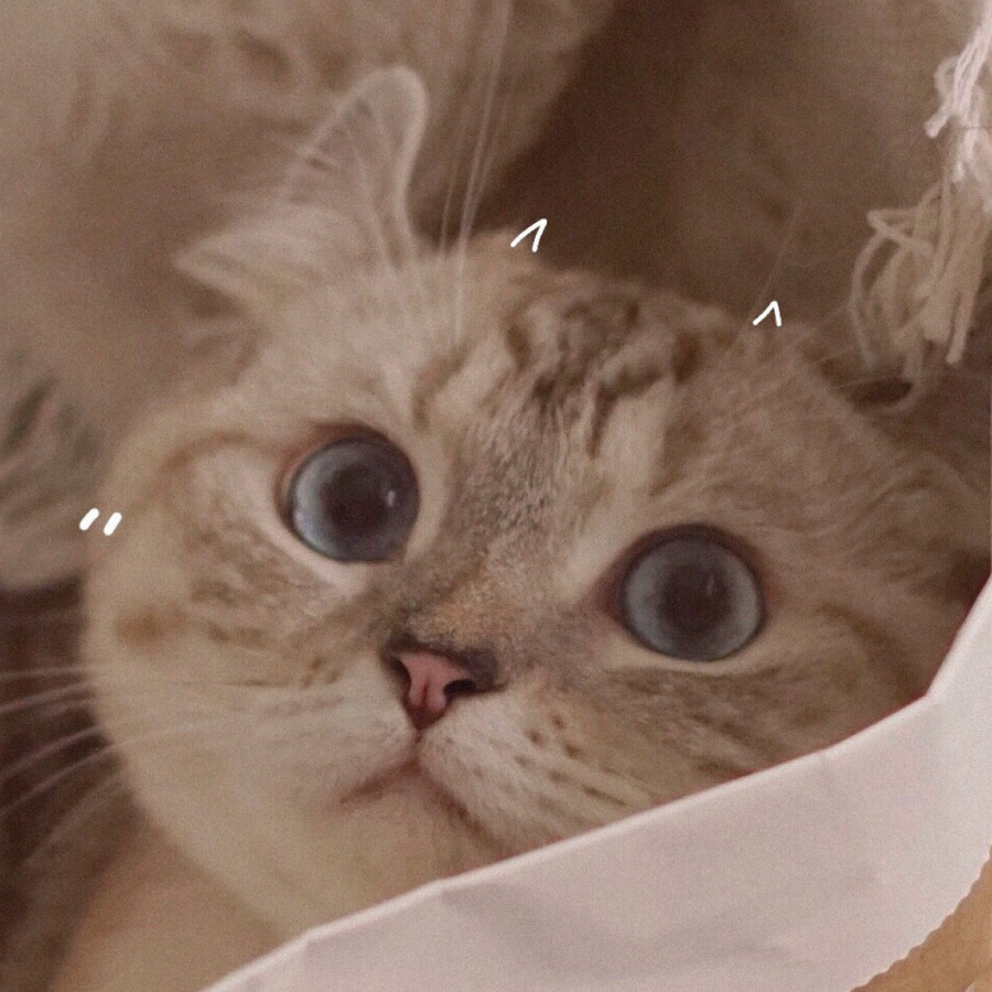 富婆发财大计