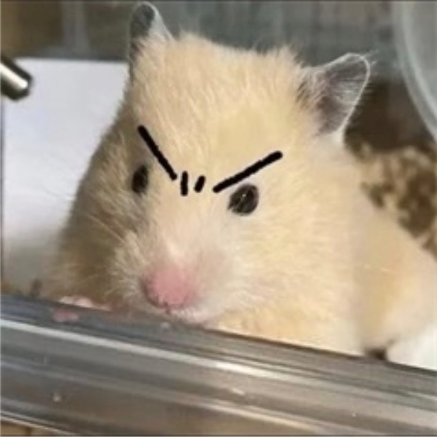 六ꦿེ道๑҉