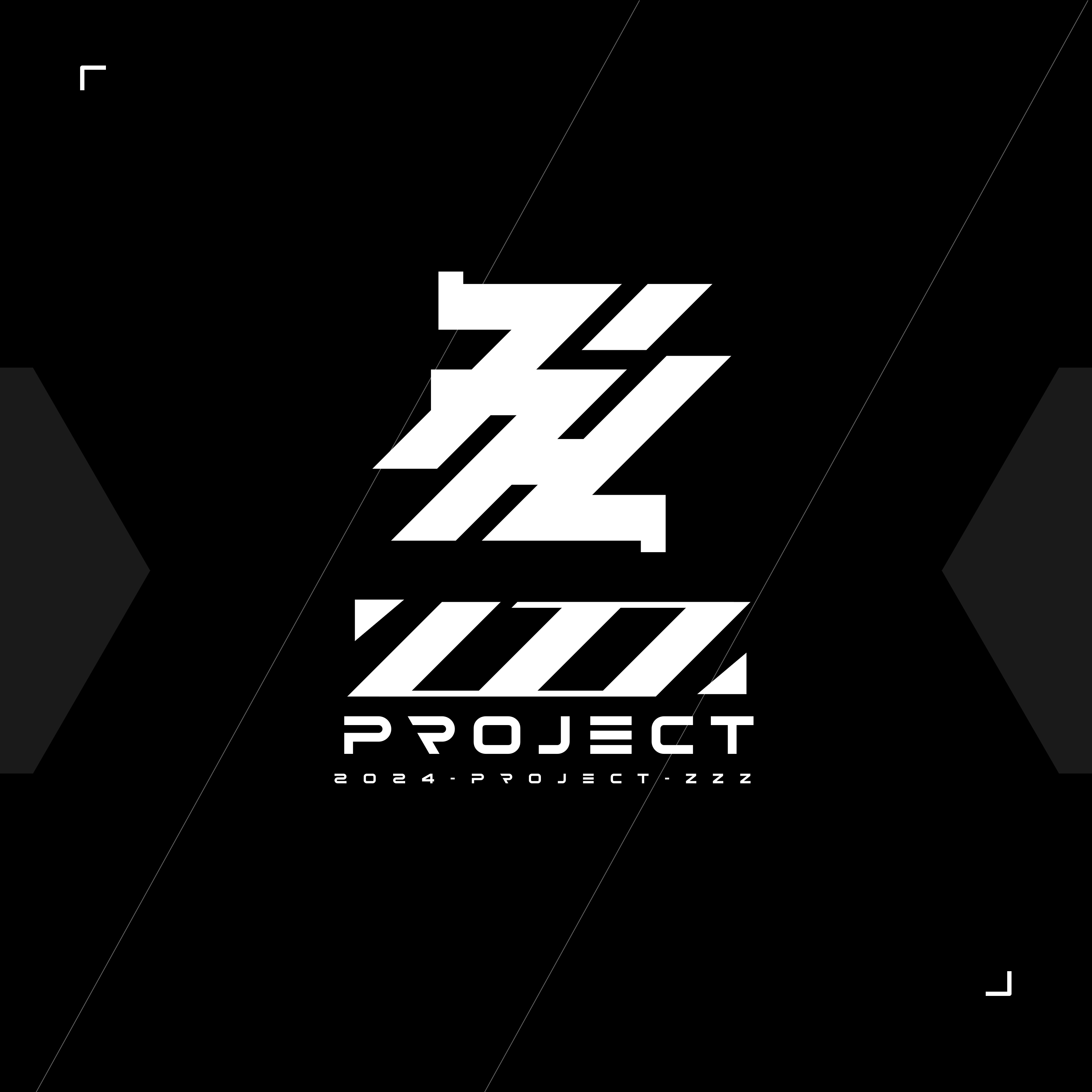 zzzProject