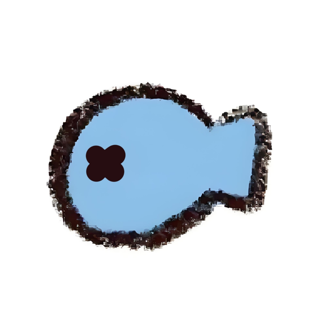 魚
