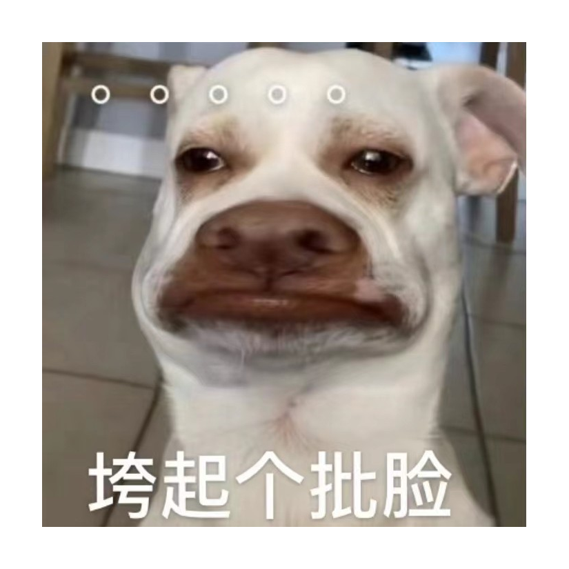 有人灬