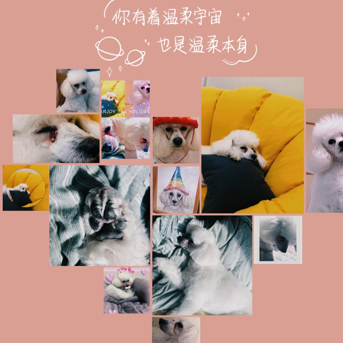 森林呀！