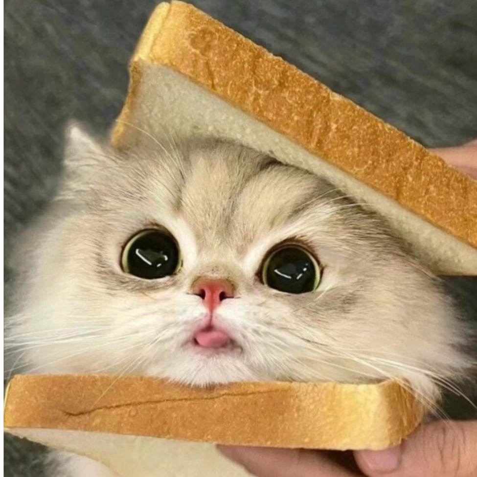 诗形