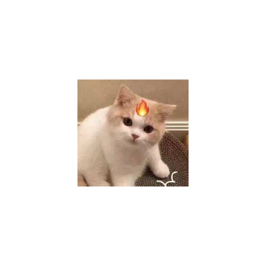欧羊