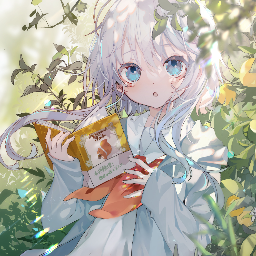 雪翎辞秋