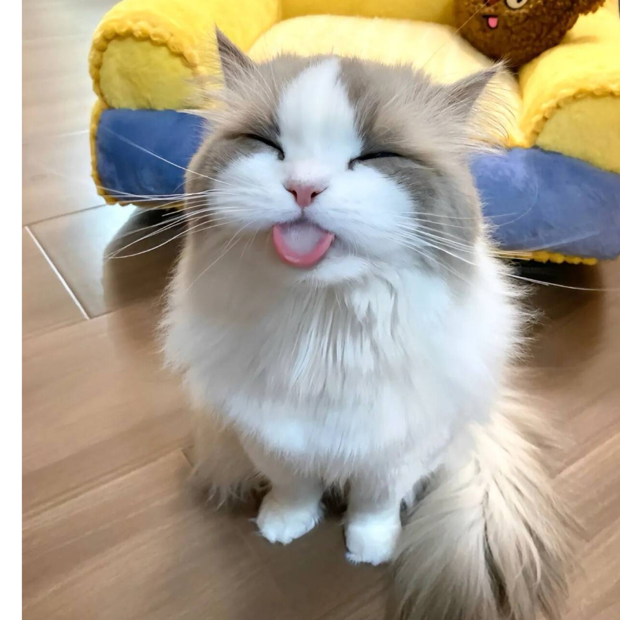 做梦