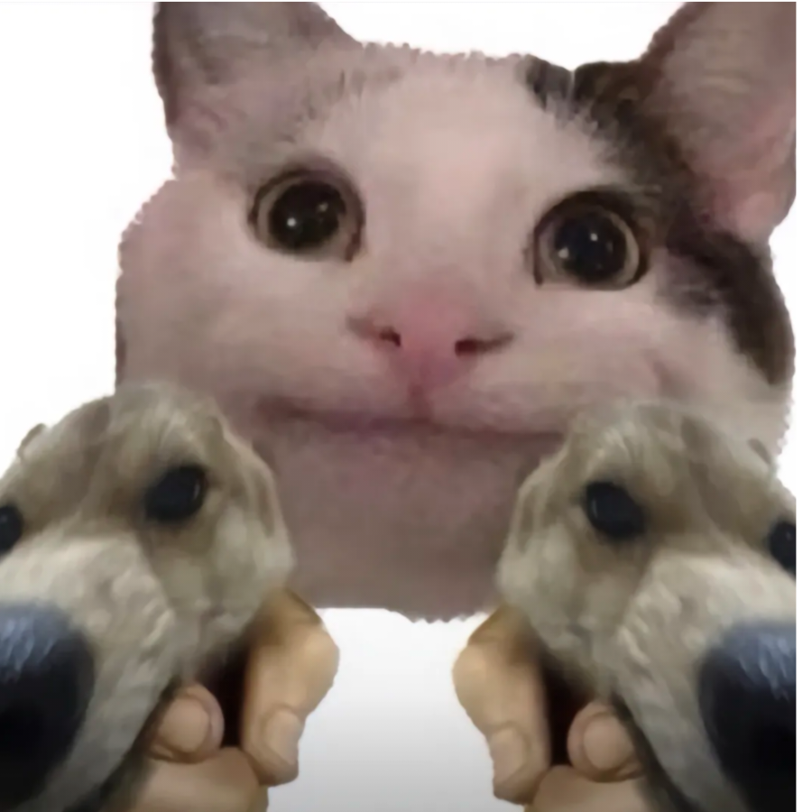 又逢花落不识君