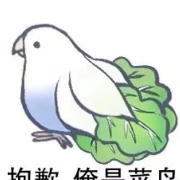jsdhwdmax