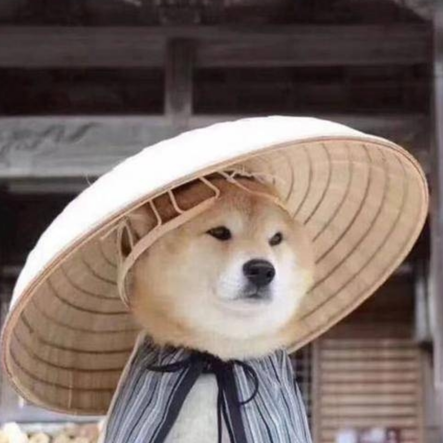 人参苦短