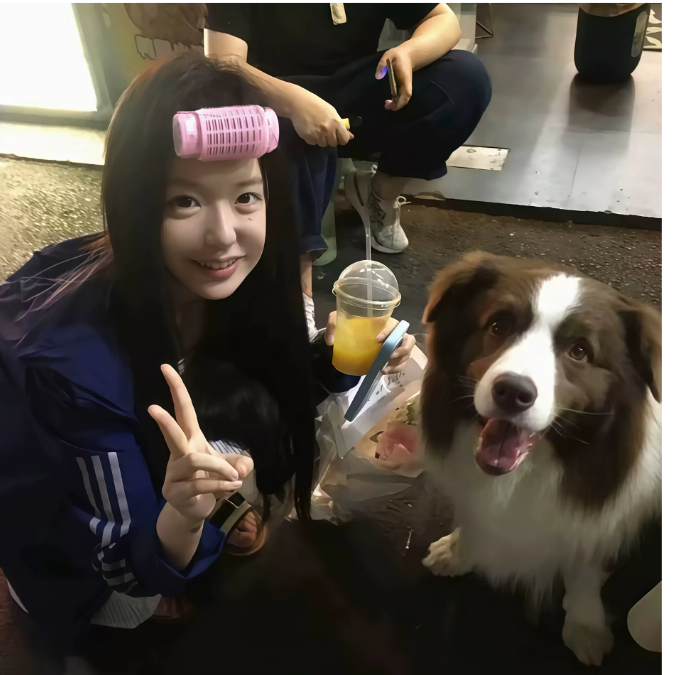 呆呆小羊