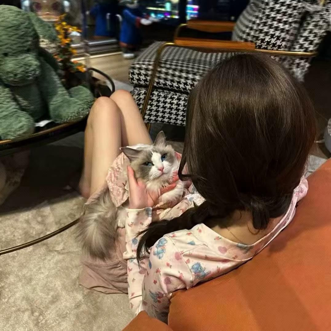 🍁