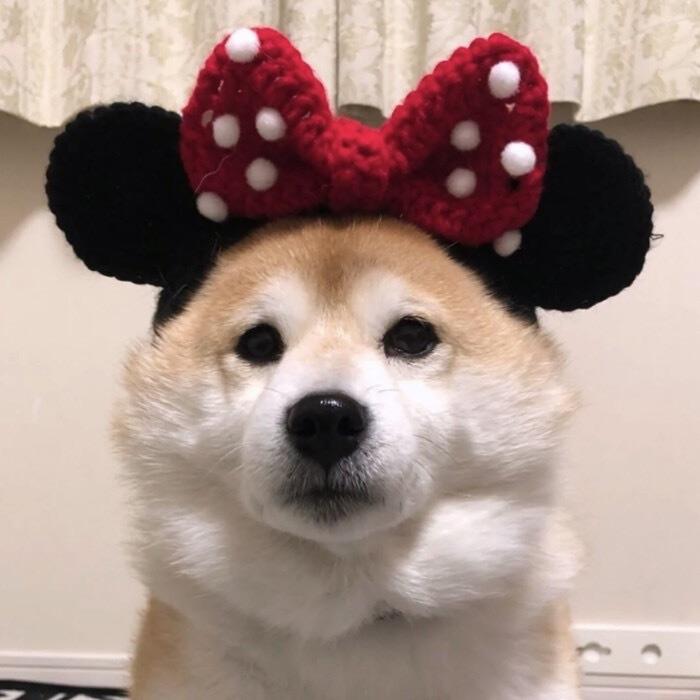 莳青