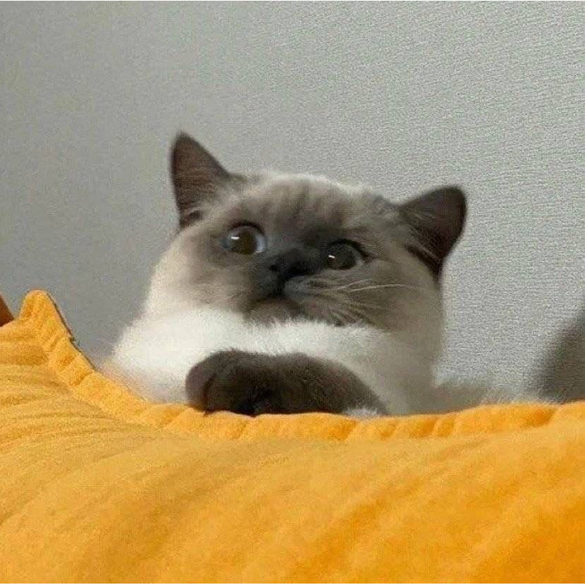 明月倚深秋