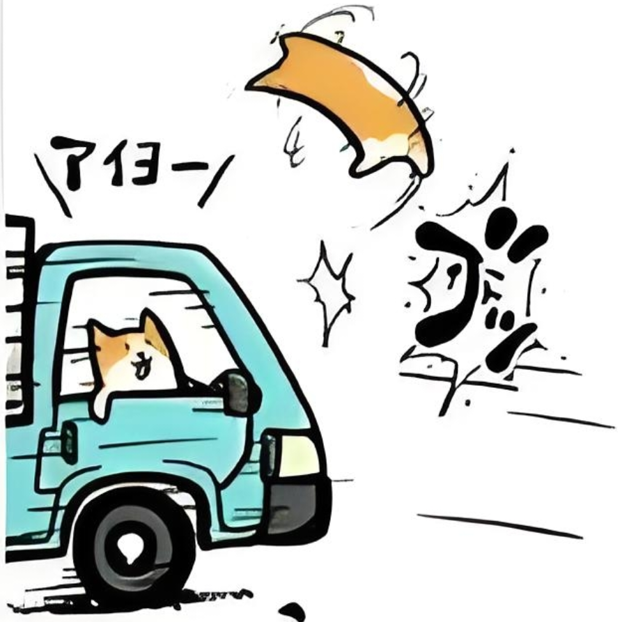 狸子