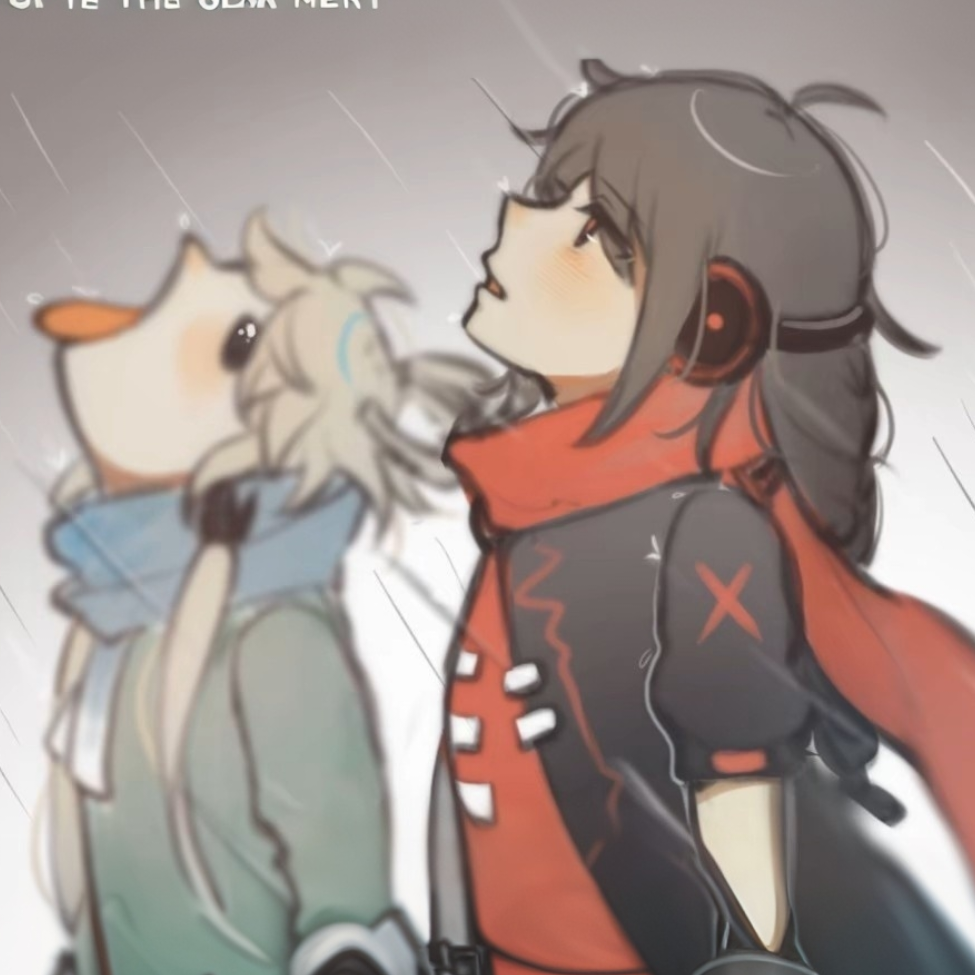 米曲君