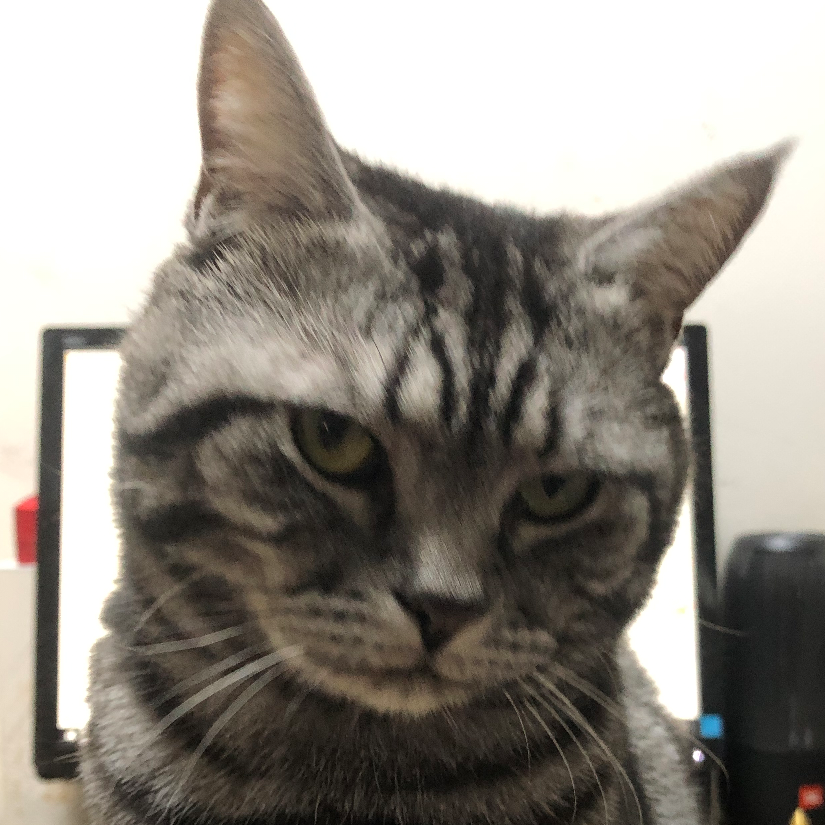 你也听说过我的故事？