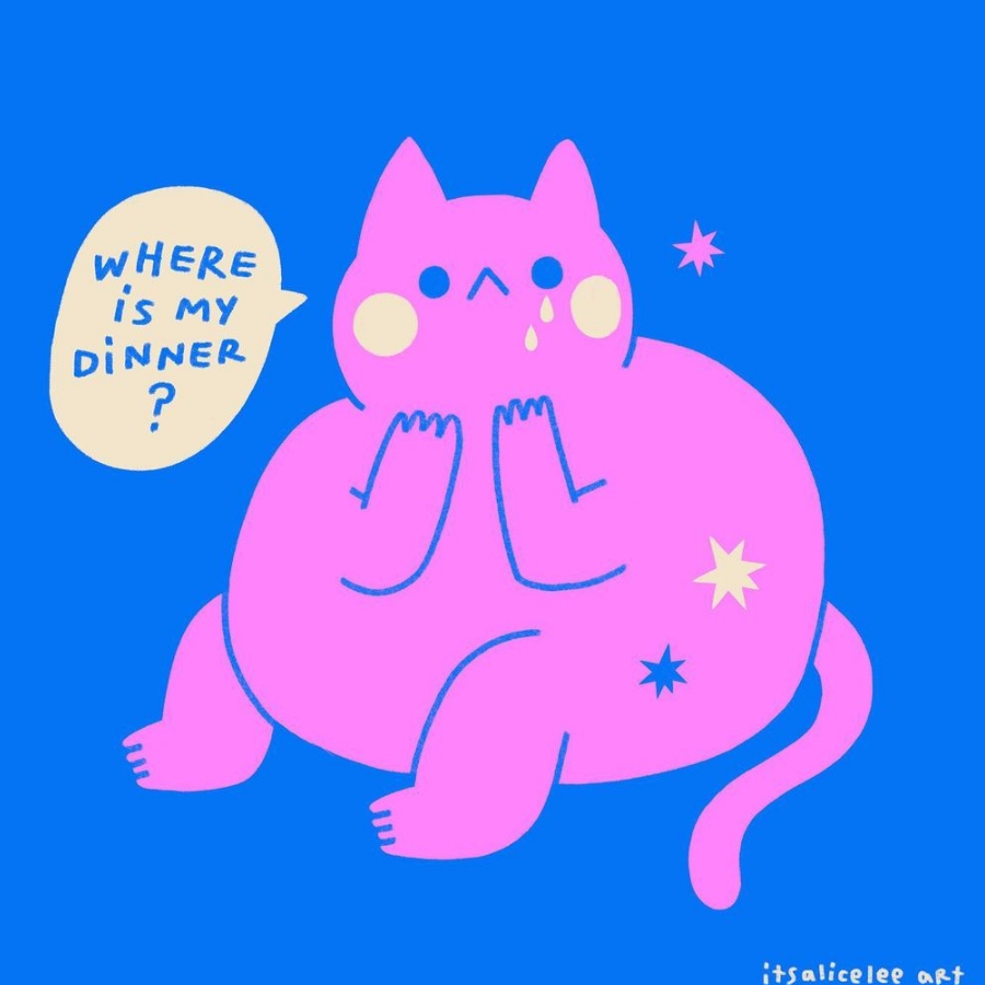 麻屁