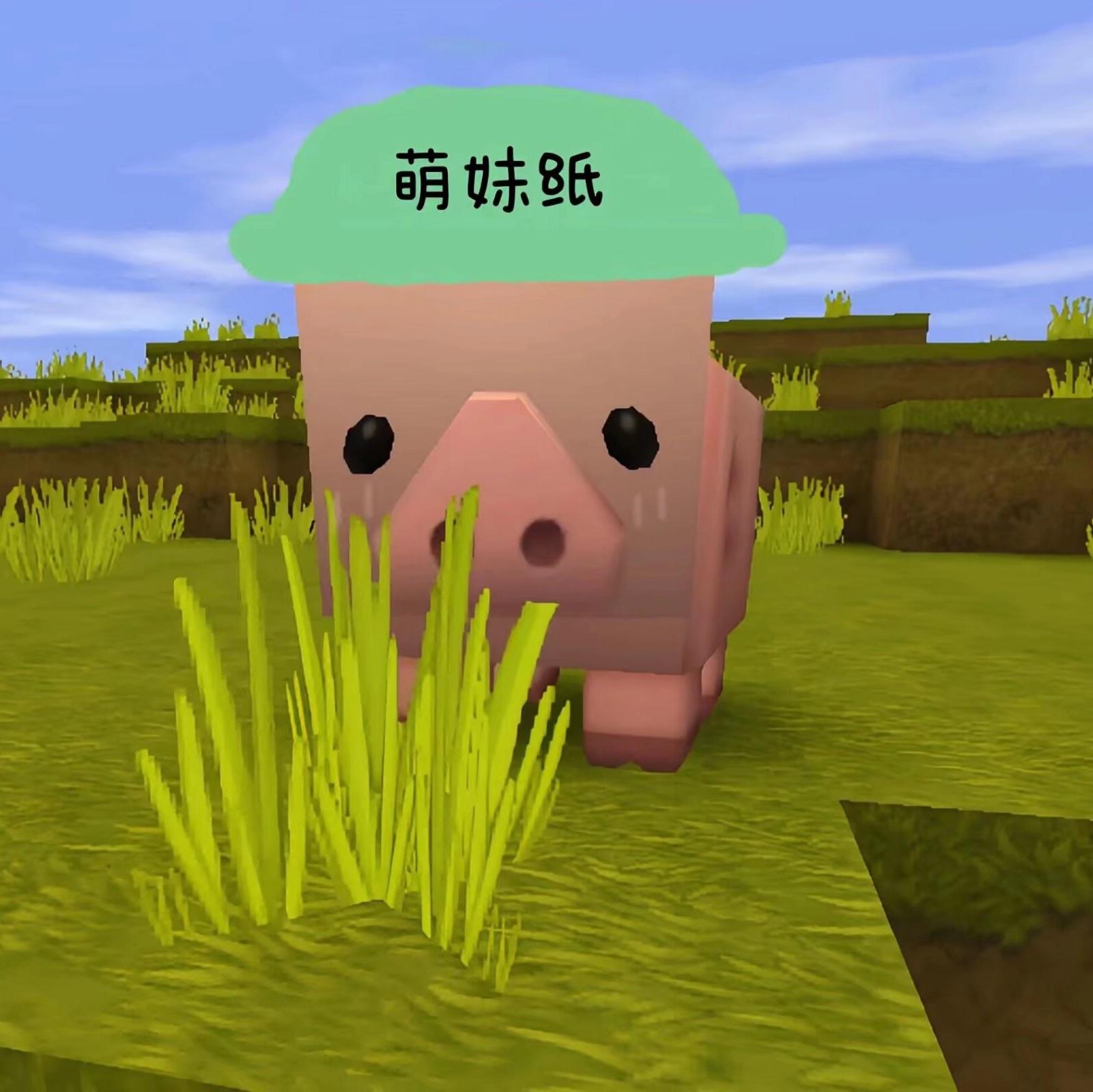 emo的唐老雅