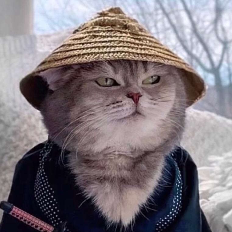 江风凌歌