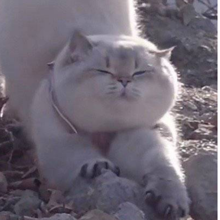 樱糕