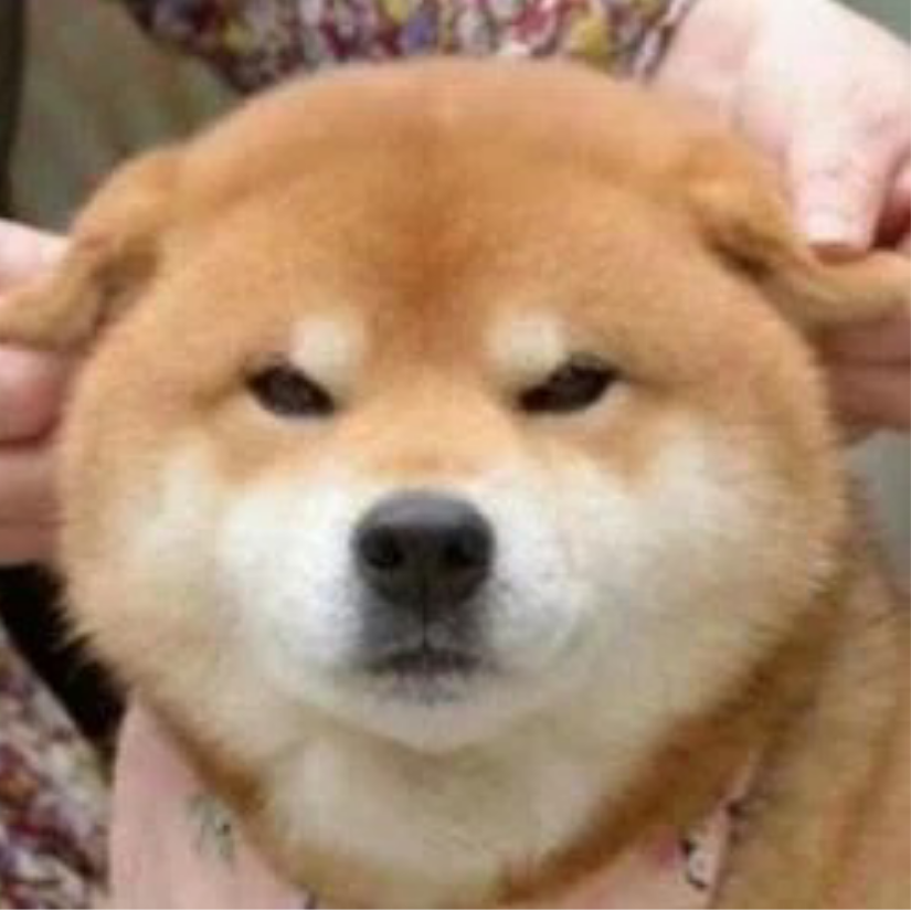 狗憨