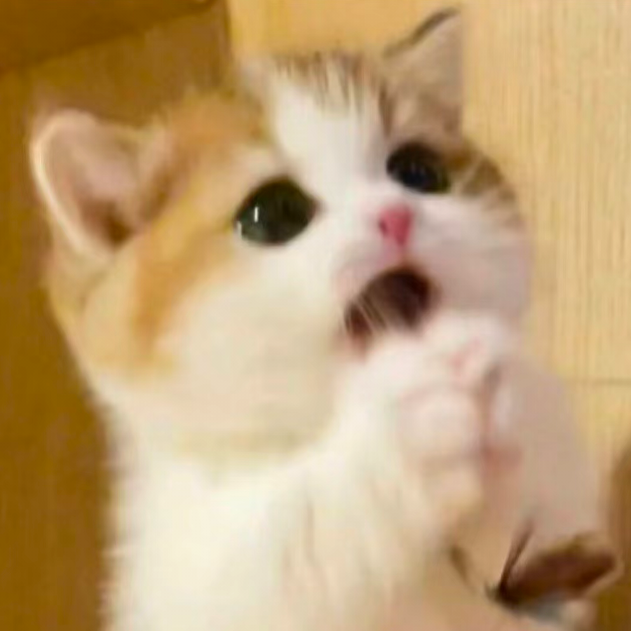 不懂起名