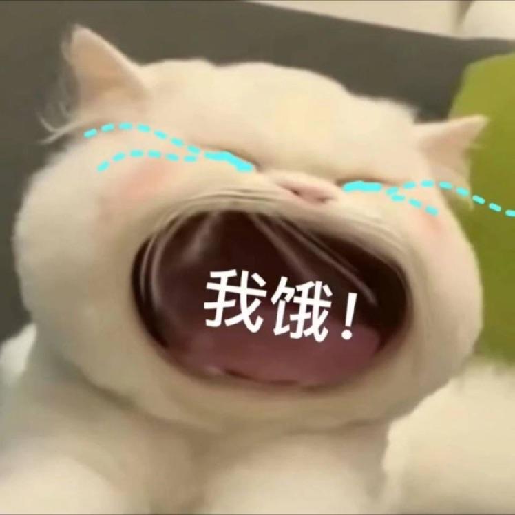 俴