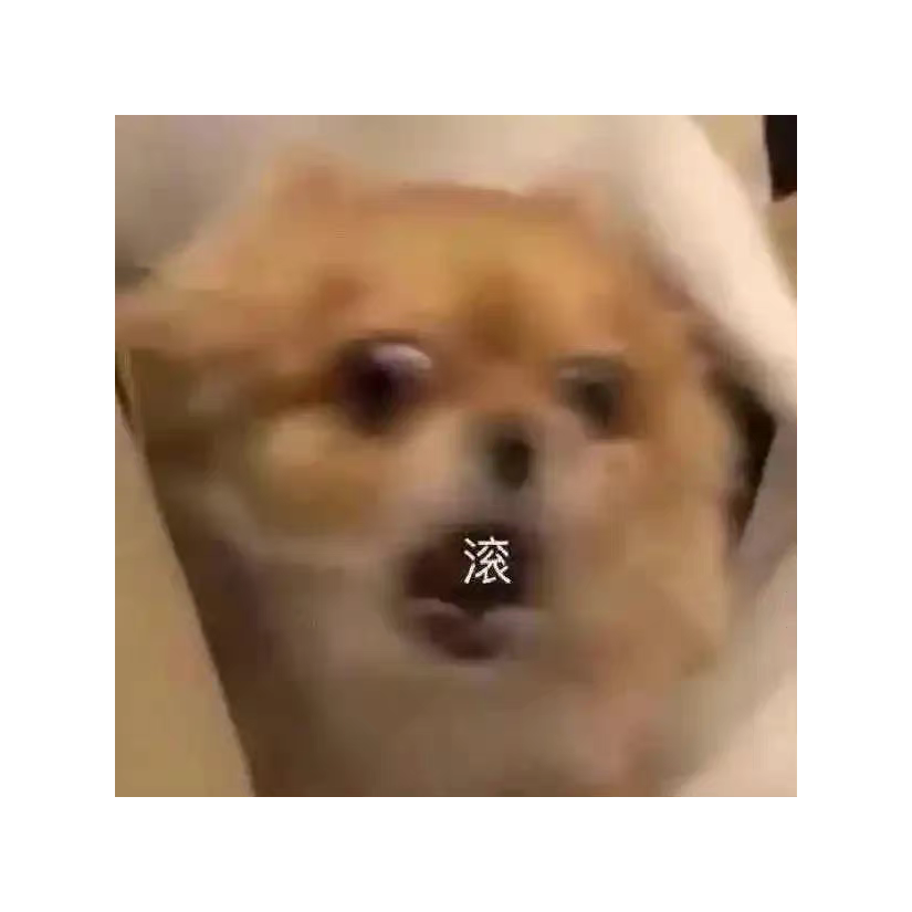 我可是懒大王