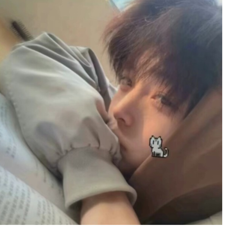 手机用户96848494