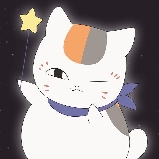 喵喵老狮