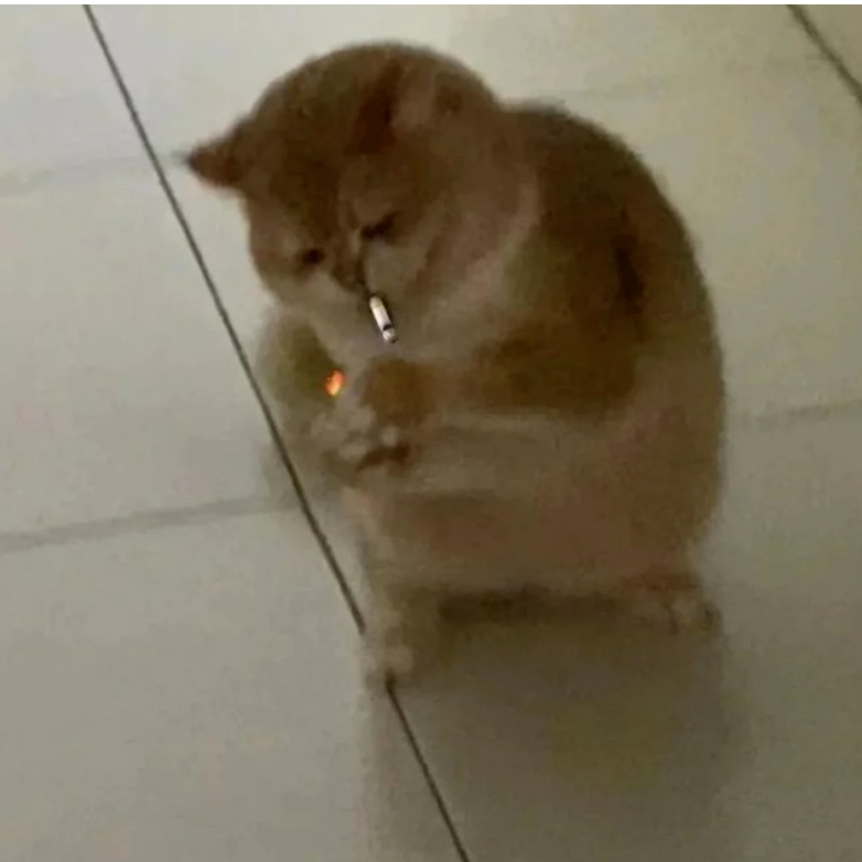 不纯真但永远浪漫的饺子
