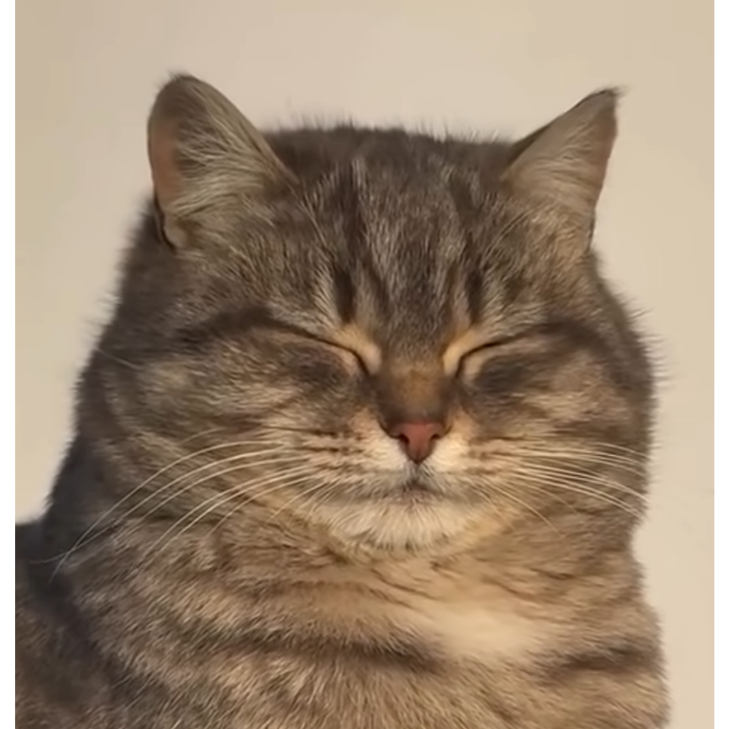 *< |:-)