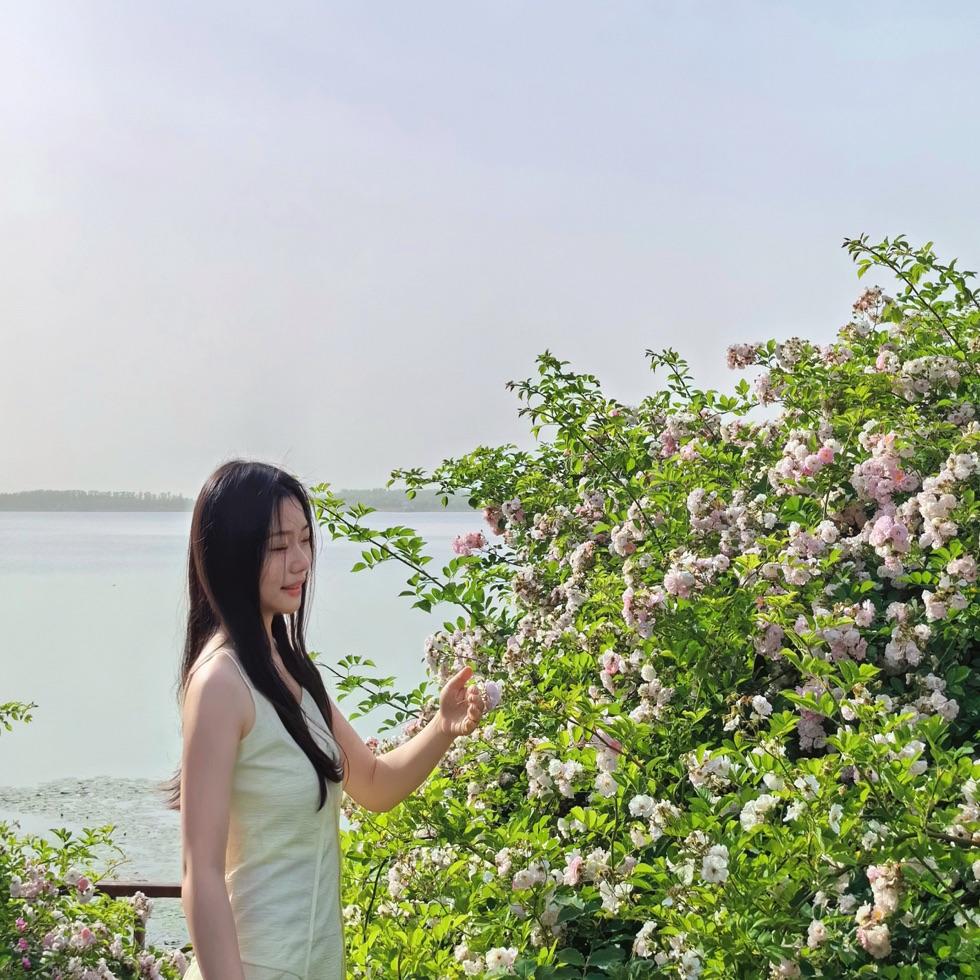 搬砖小蝴蝶