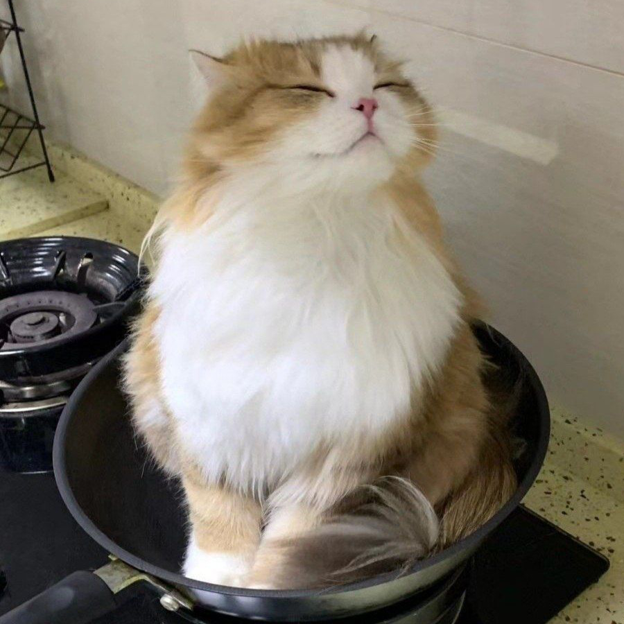 和央