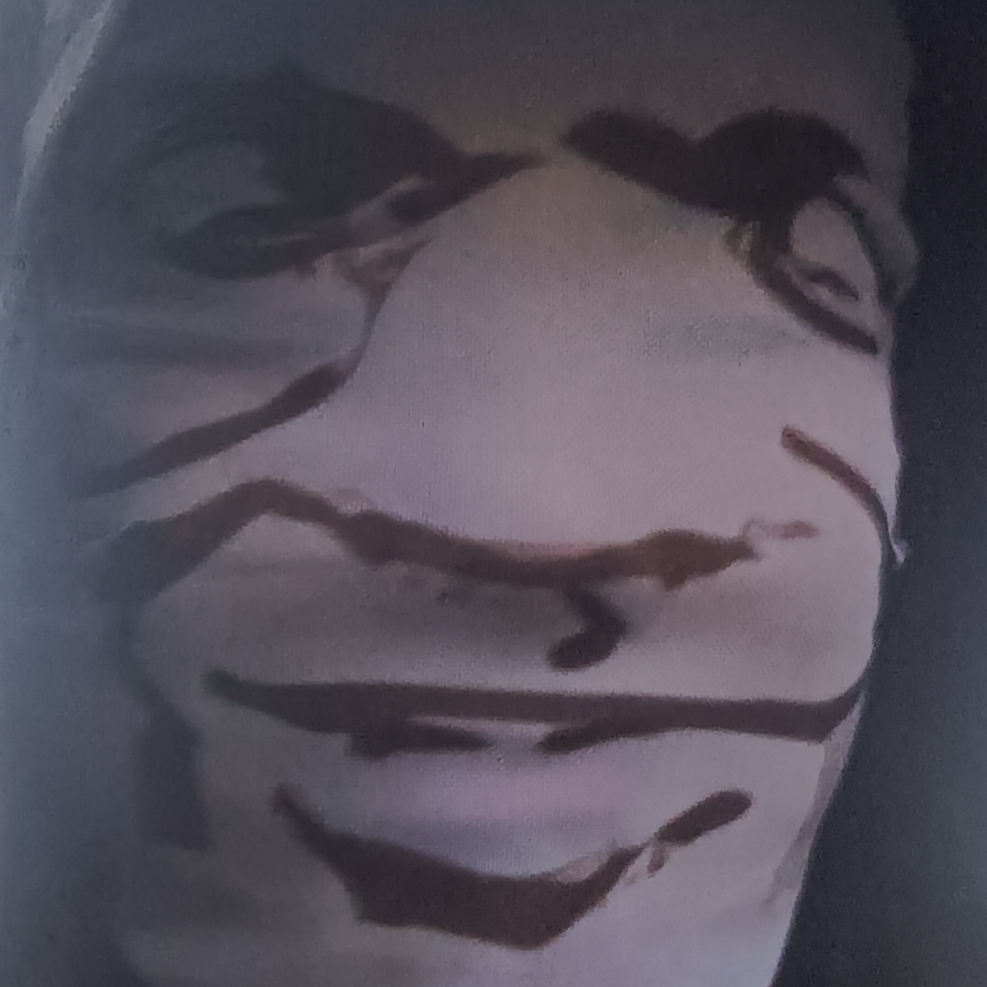 路过一只假面骑士