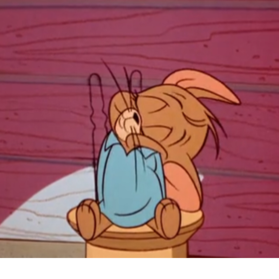 一只好狸