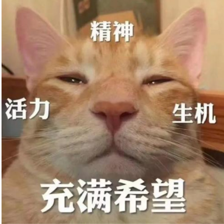 唐措