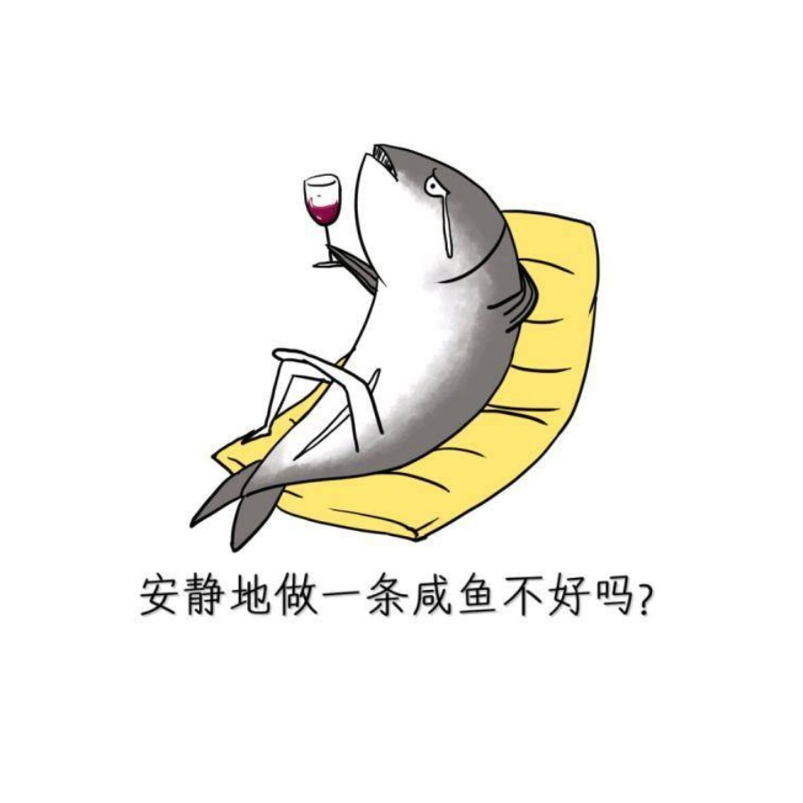 没有自行车的咸鱼