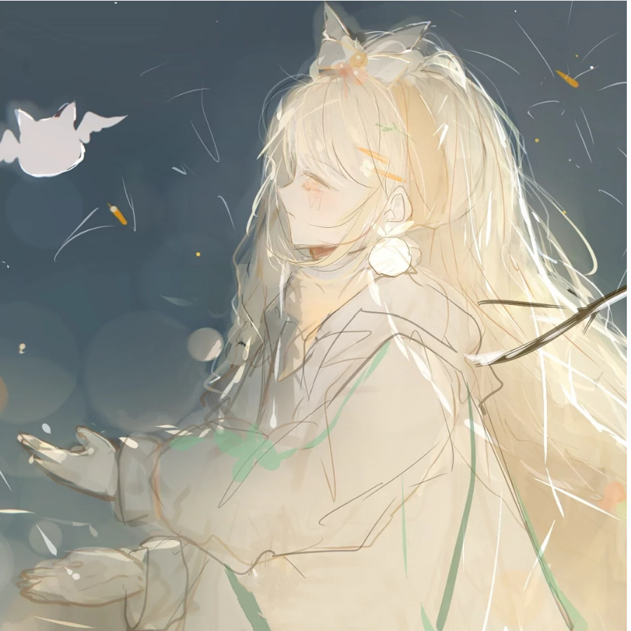 非鱼