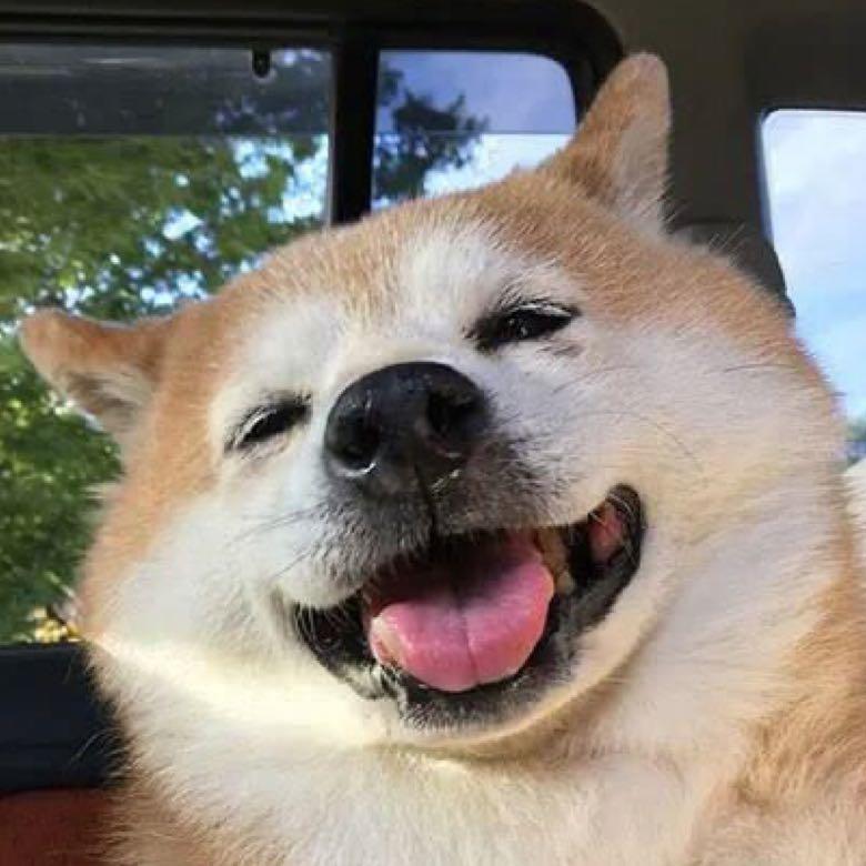 芳心纵火犯