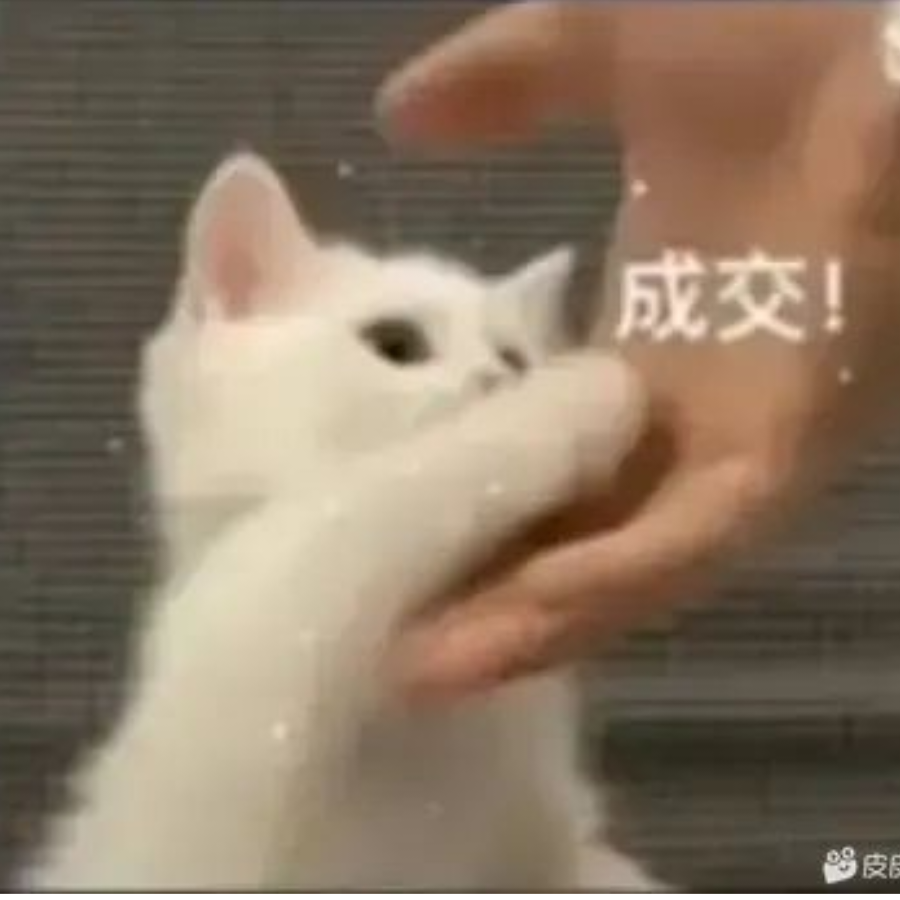 晖晖鲸