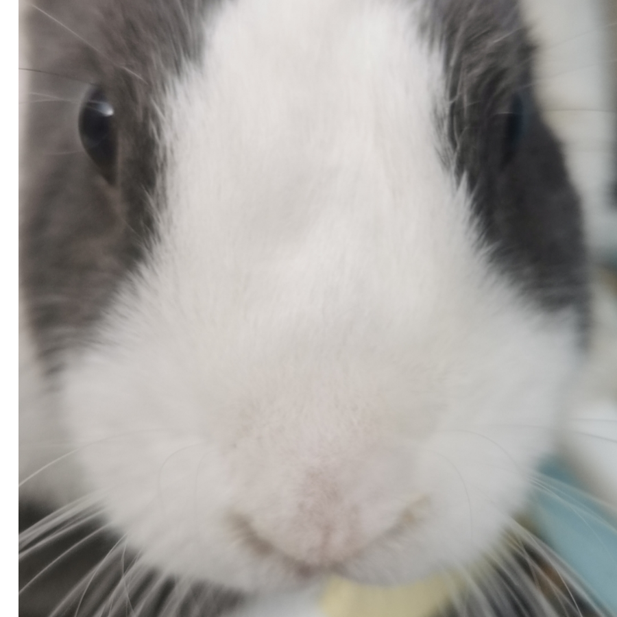 我是一个臭阴间