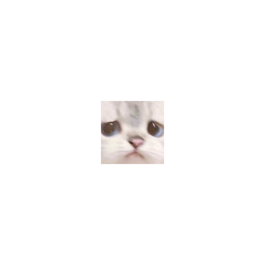 ｸﾞｯ!(๑•̀ㅂ•́)و✧