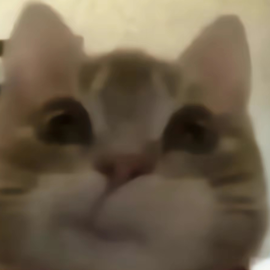 理朝南