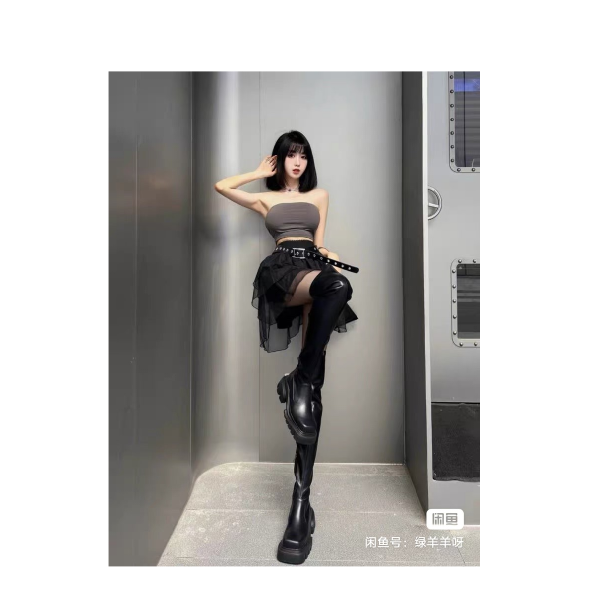 看明月如故