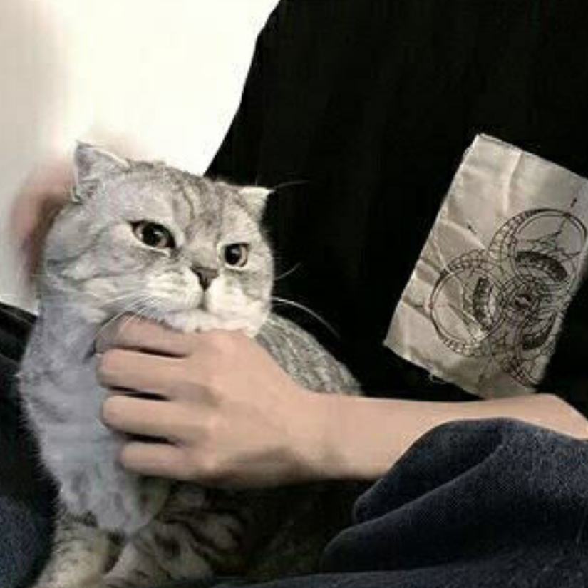 沐漓