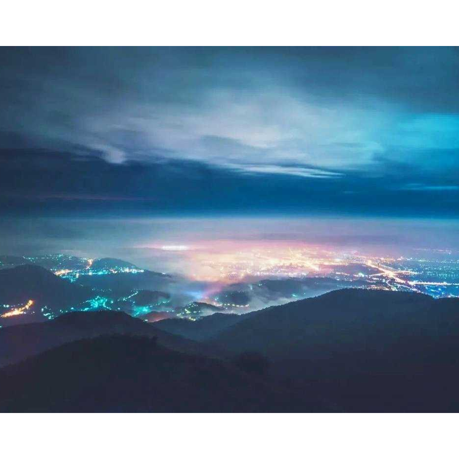 黑羽快抖