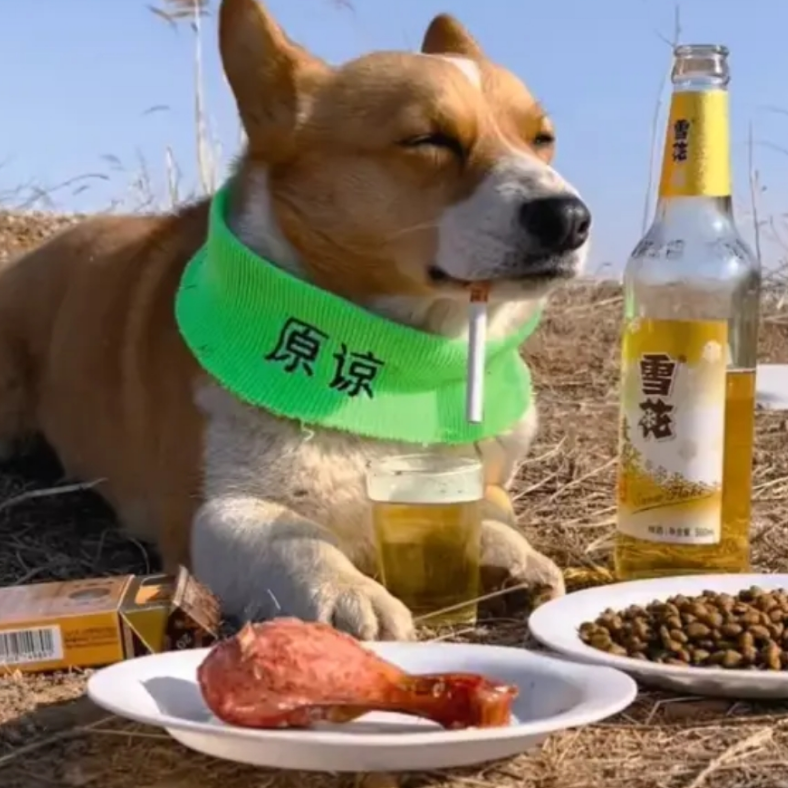 清沫